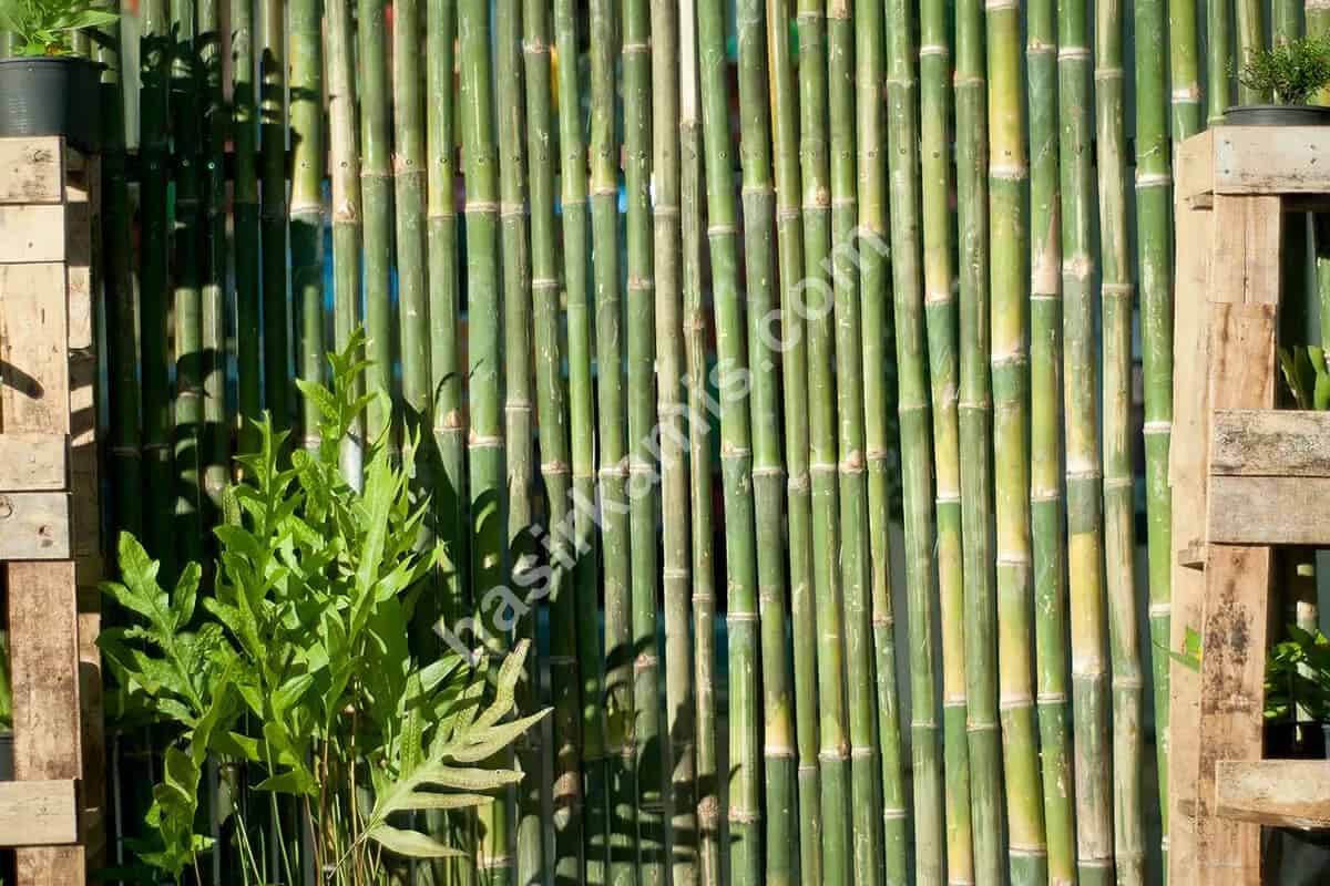 Hasır Balkon Uygulama Nasıl Yapılır?